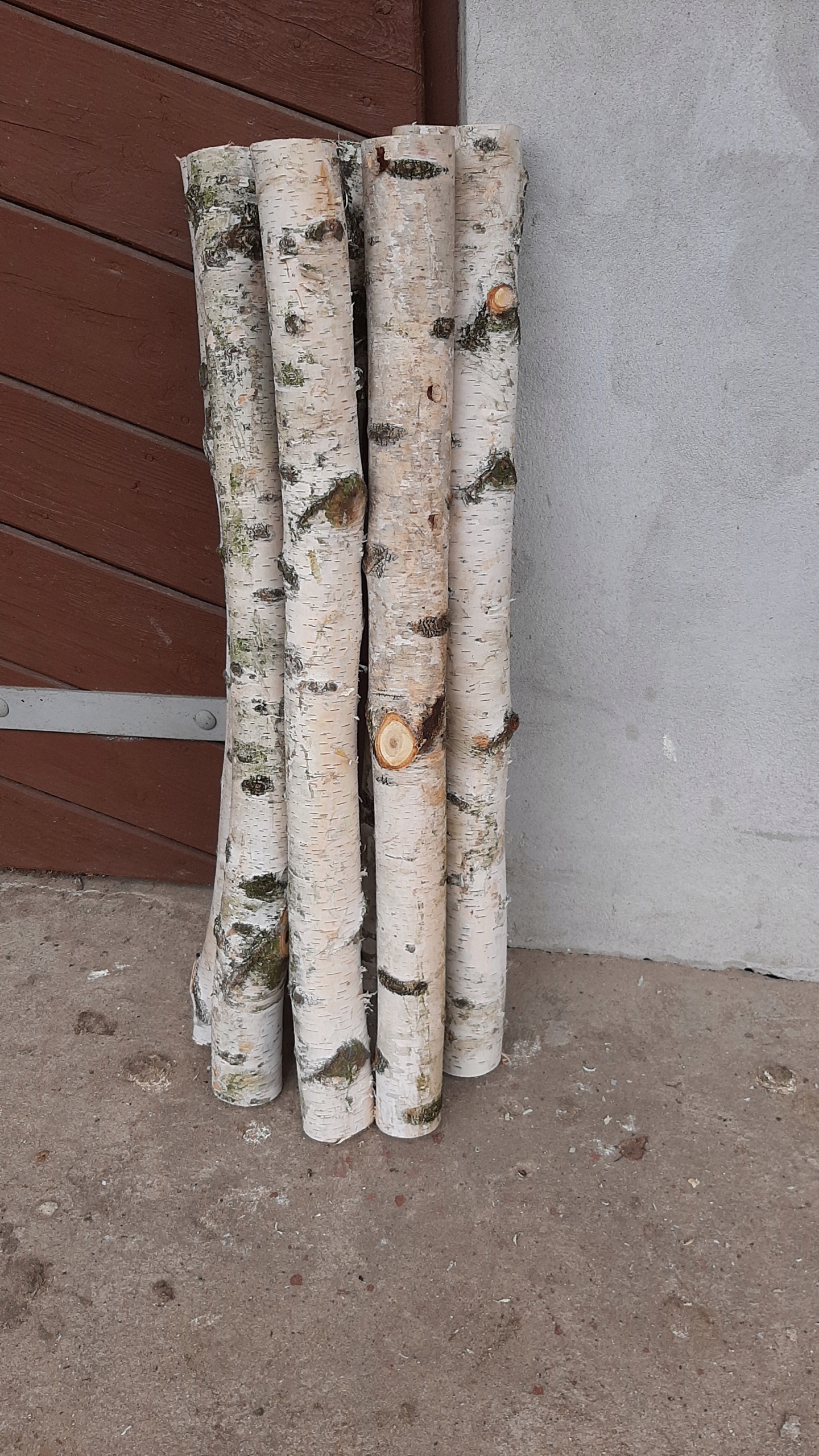 

Patyki, gałęzie z brzozy dekoracje dł 50cm 5szt