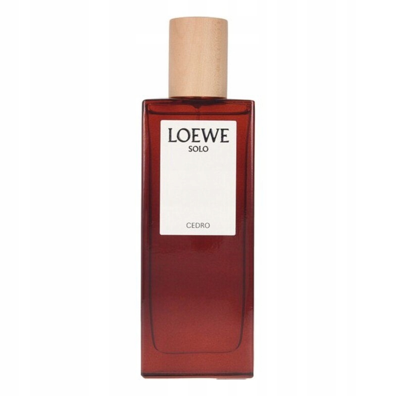 Parfém pánské Loewe Edt 100 ml