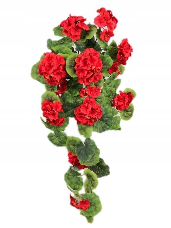 

Pelargonia sztuczna zwisająca (2295.1) czerwona
