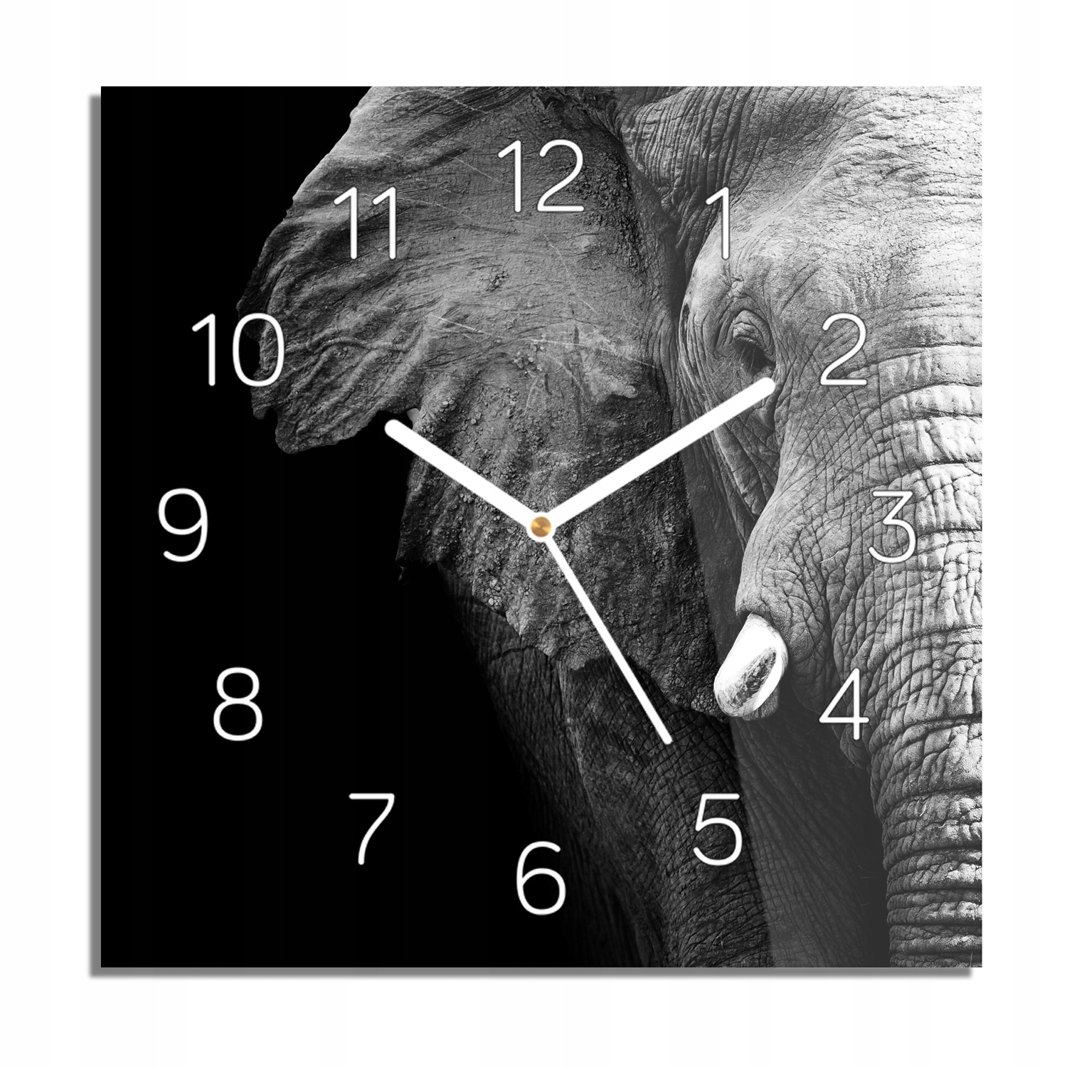 

Słoń trąba kieł foto-zegar ze zdjęciem 30x30 cichy