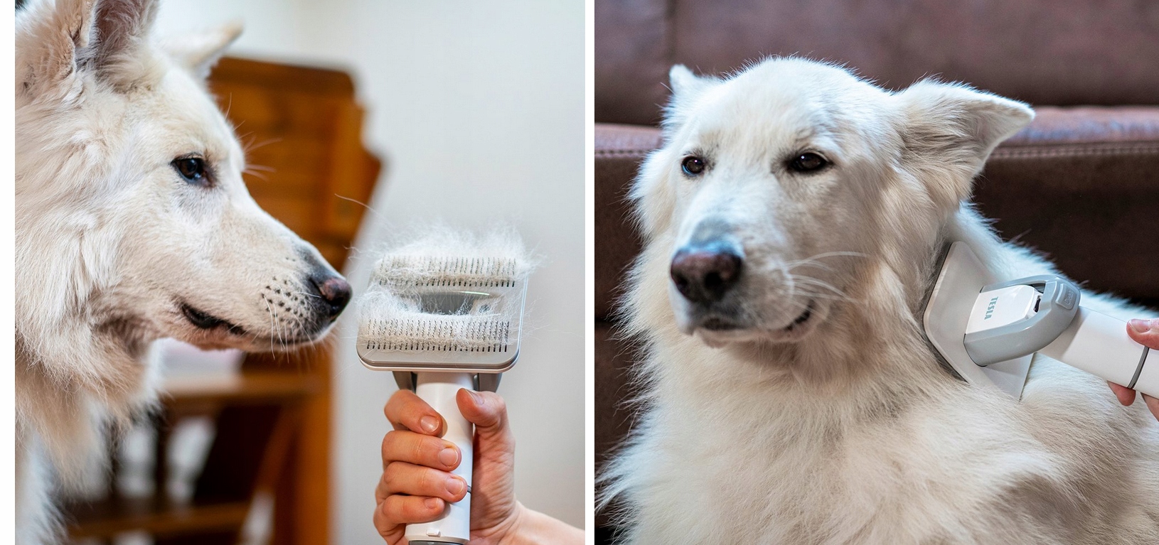 Tesla PetCare Station Pro TQ500 Odkurzacz Zestaw Do sierści psa kota Trymer Kod producenta 8595689802349