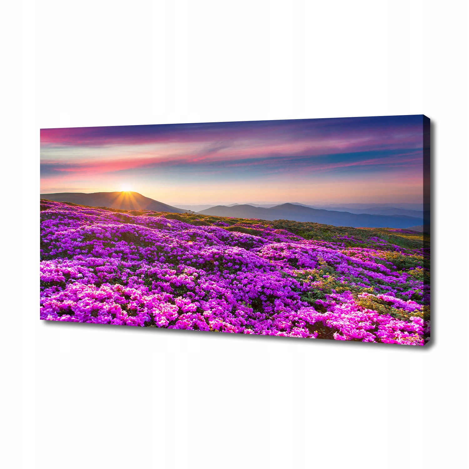

Foto obraz na płótnie Kwiaty w górach 140x70 cm
