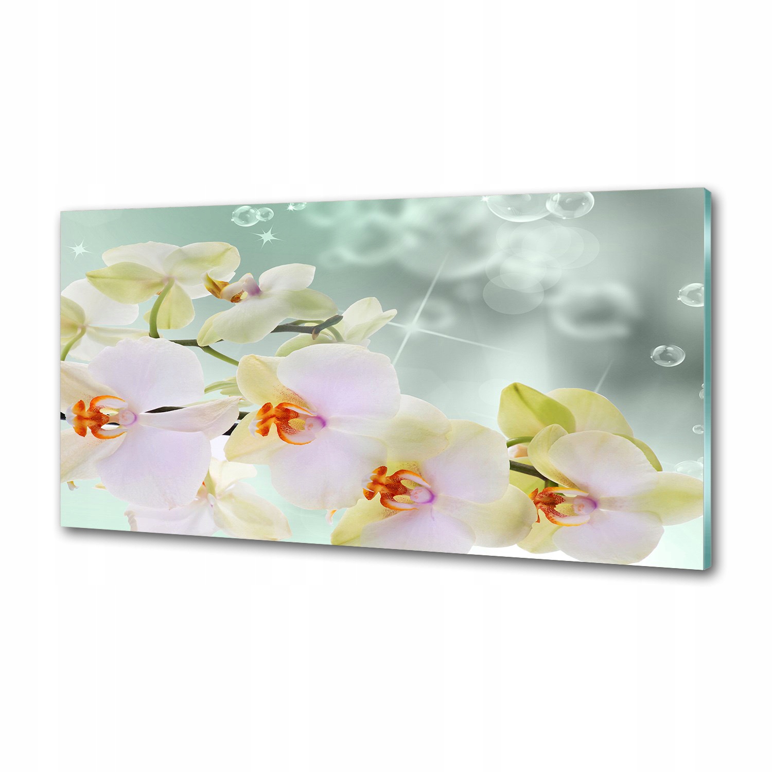 Panel do kuchyne Biela orchidea 120 x 60 cm Lepidlo