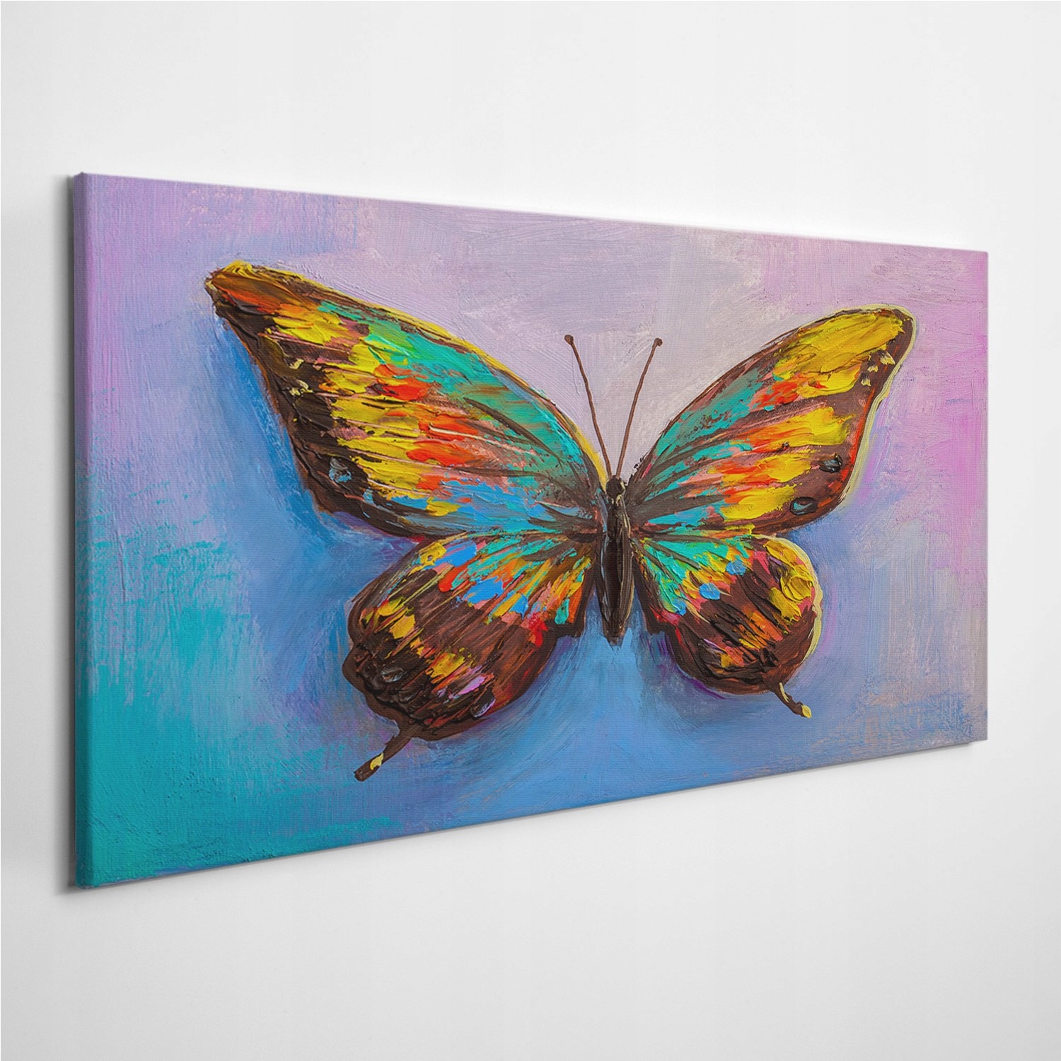 

Foto-obraz na płótnie Motyl Owad Skrzydła 120x60