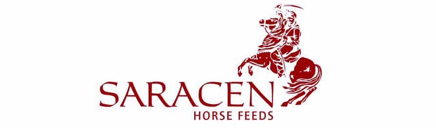SARACEN Show Improver Mix pasza dla koni 20 kg Nazwa Show Improver Mix