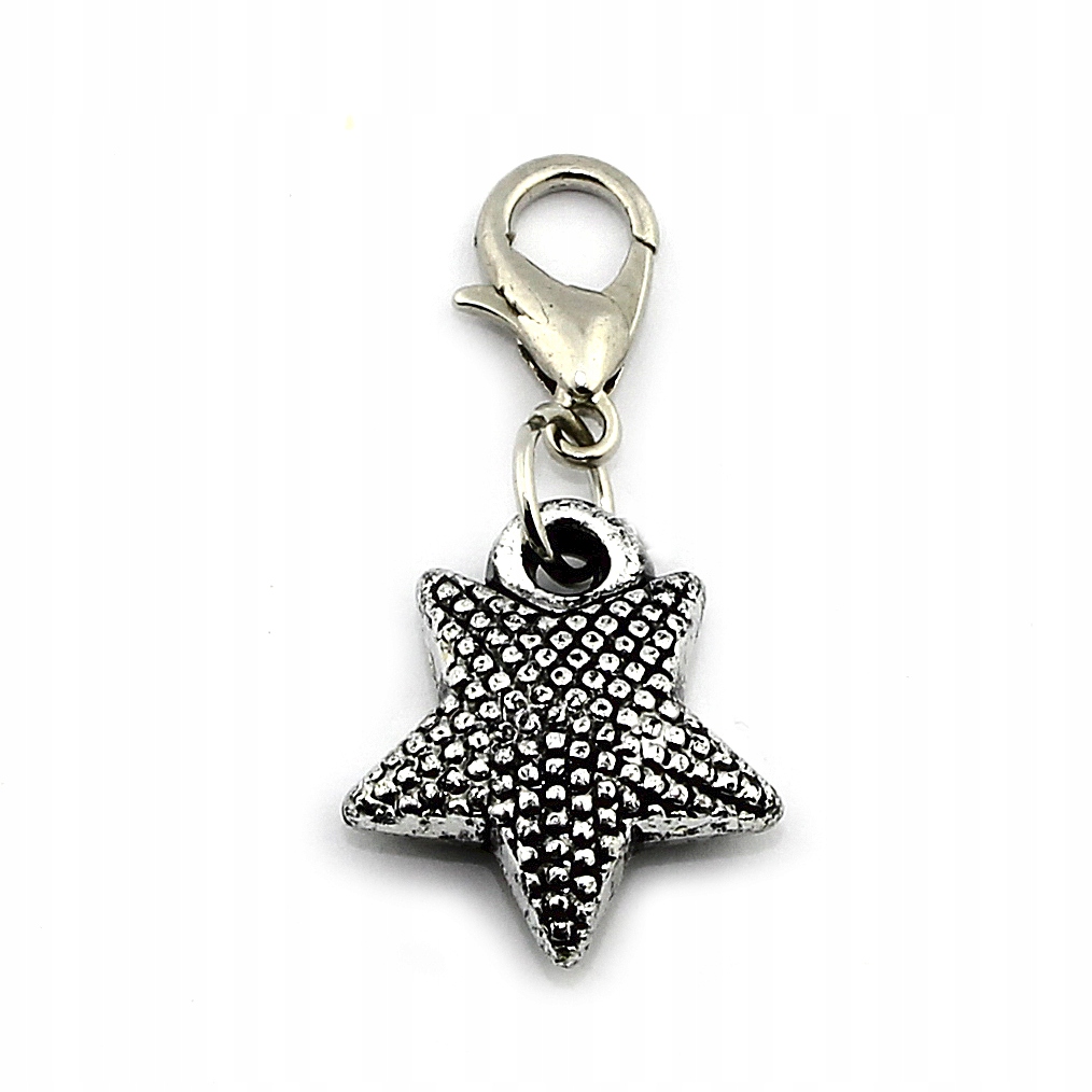 

Zawieszka Do Bransoletek Charms Rozgwiazda