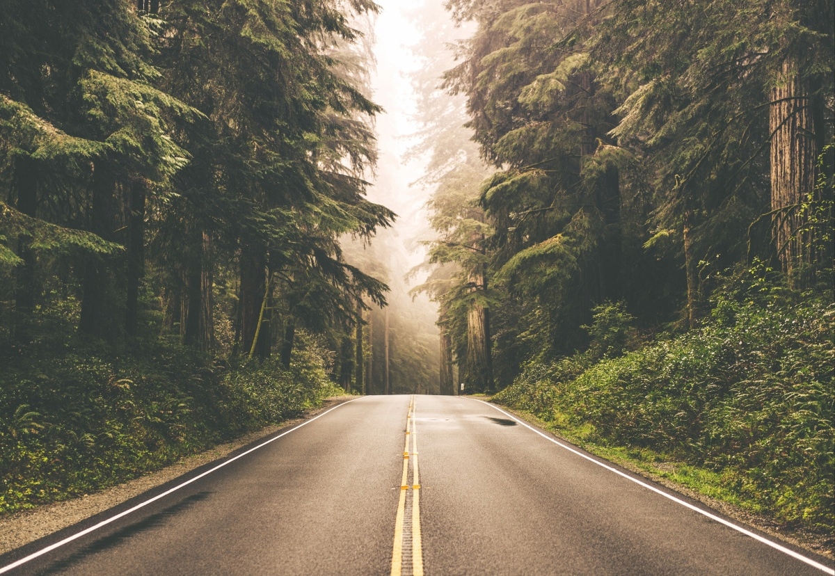 

Fototapeta Flizelinowa Mgła Szosa 152x104