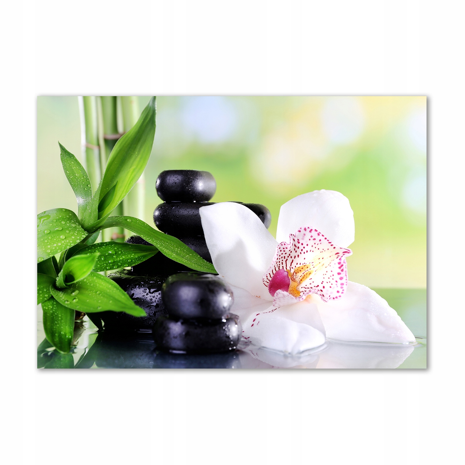 

Obraz zdjęcie na ścianę akryl Orchidea 100x70 cm