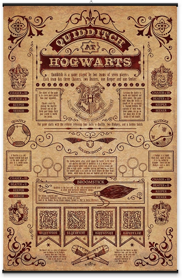 Plakat Harry Potter Quidditch Hogwarts 61x91,5 cm Marka inna