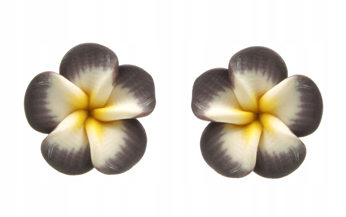 

Kolczyki kwiaty hawajskie brązowe białe z żółtym