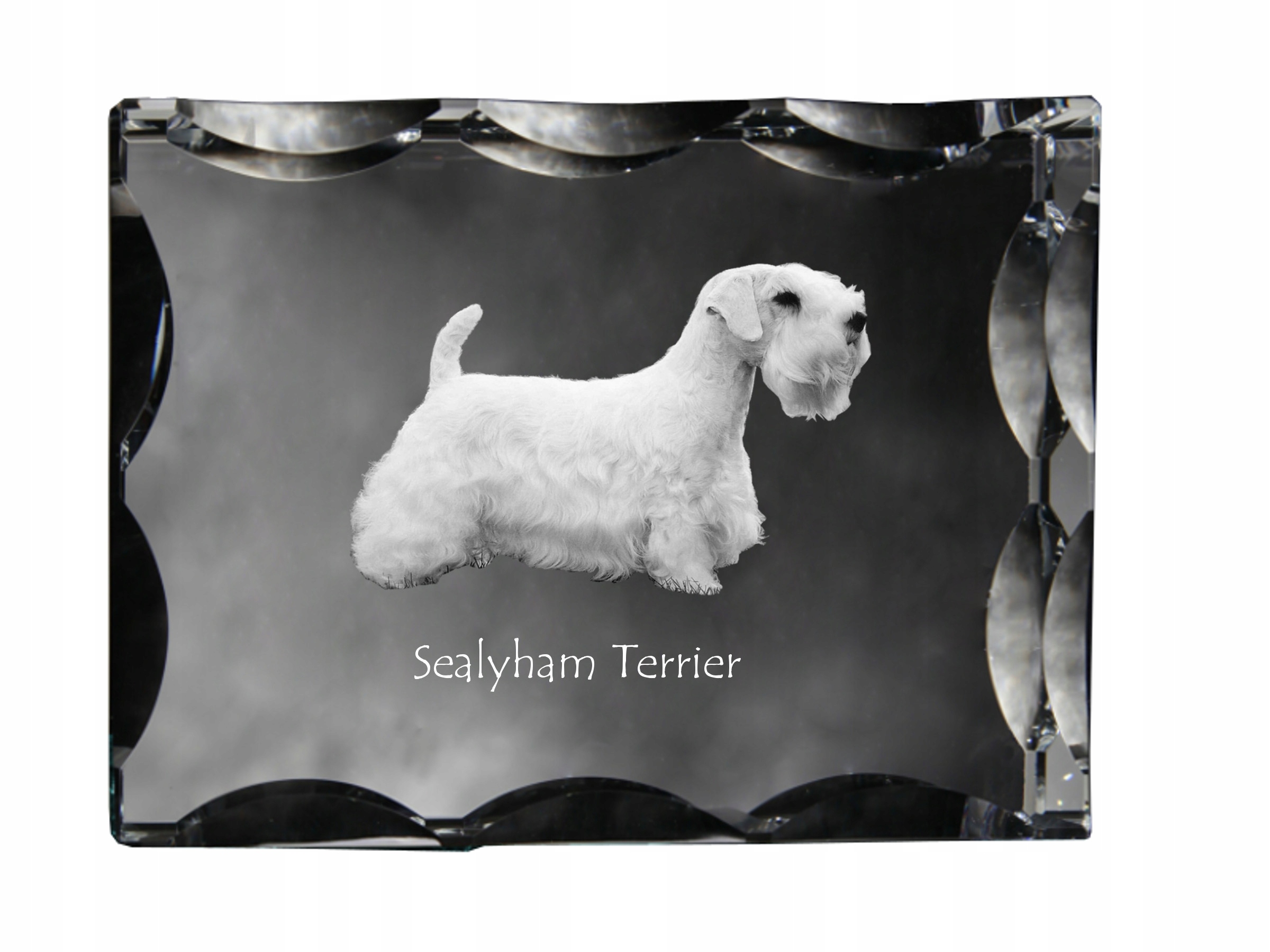 Sealyham Terrier fotografia psa v ozdobnom kryštáli, suvenír, dekorácia domu