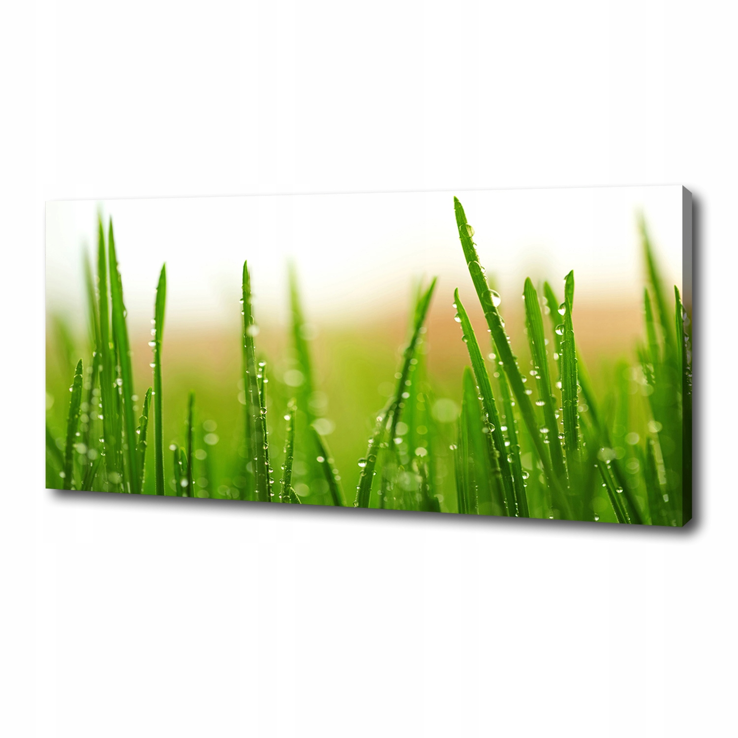 

Foto obraz ze zdjęcia do salonu Trawa 125x50 cm