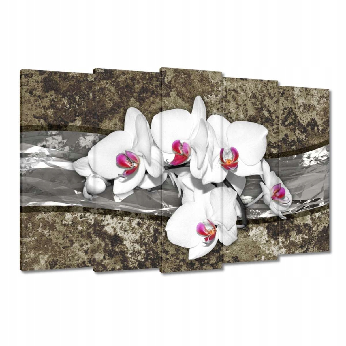 Obrazy 150x95 Bílá Orchidej Mramorové pozadí