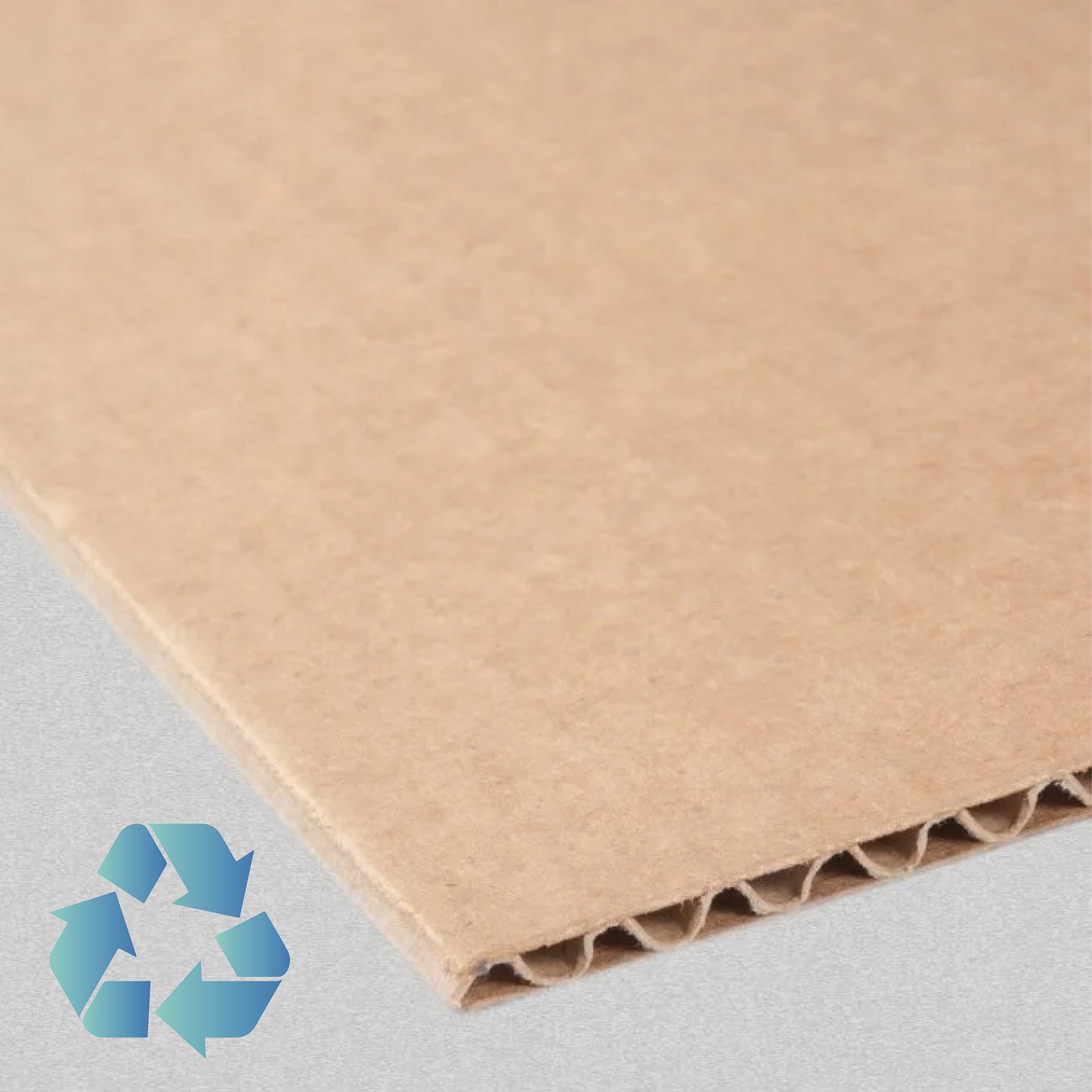 Folia polaryzacyjna liniowa 10x10cm Marka inna marka