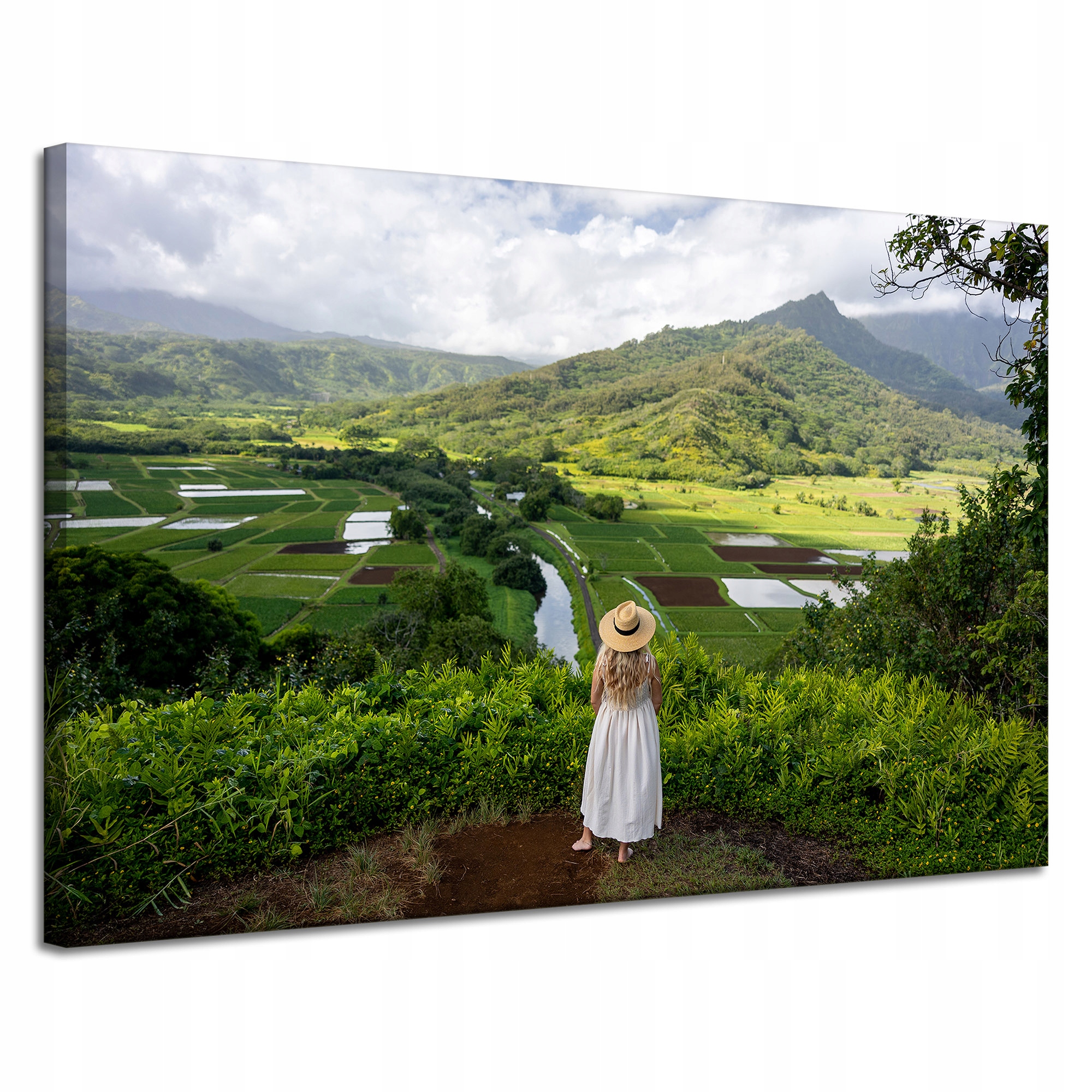 Obraz Canvas Příroda Žena pohled na hory 120x80