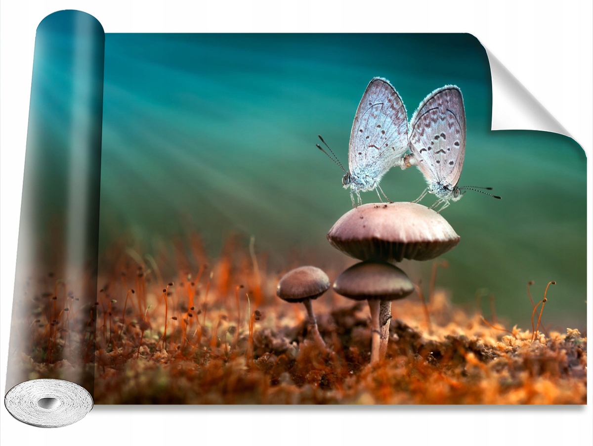 

Tapeta Samoprzylepna Motyle Grzyb 104x70