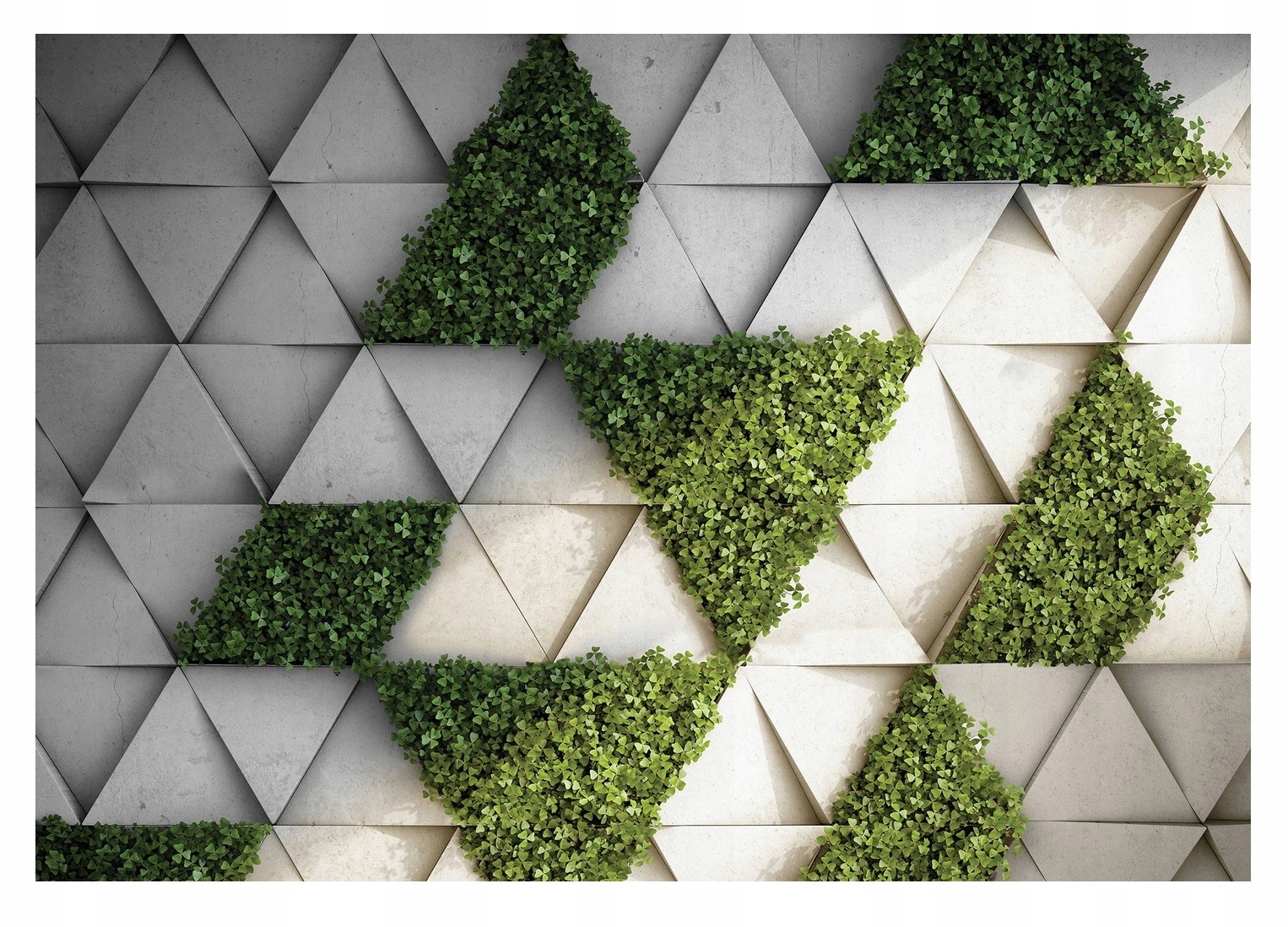 Fototapeta Bluszcz Listy Betón Imitácia 312x219