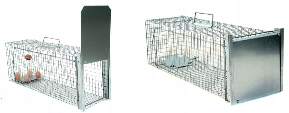 Żywołapka pułapka lisy kuny wydry bobry koty Duża