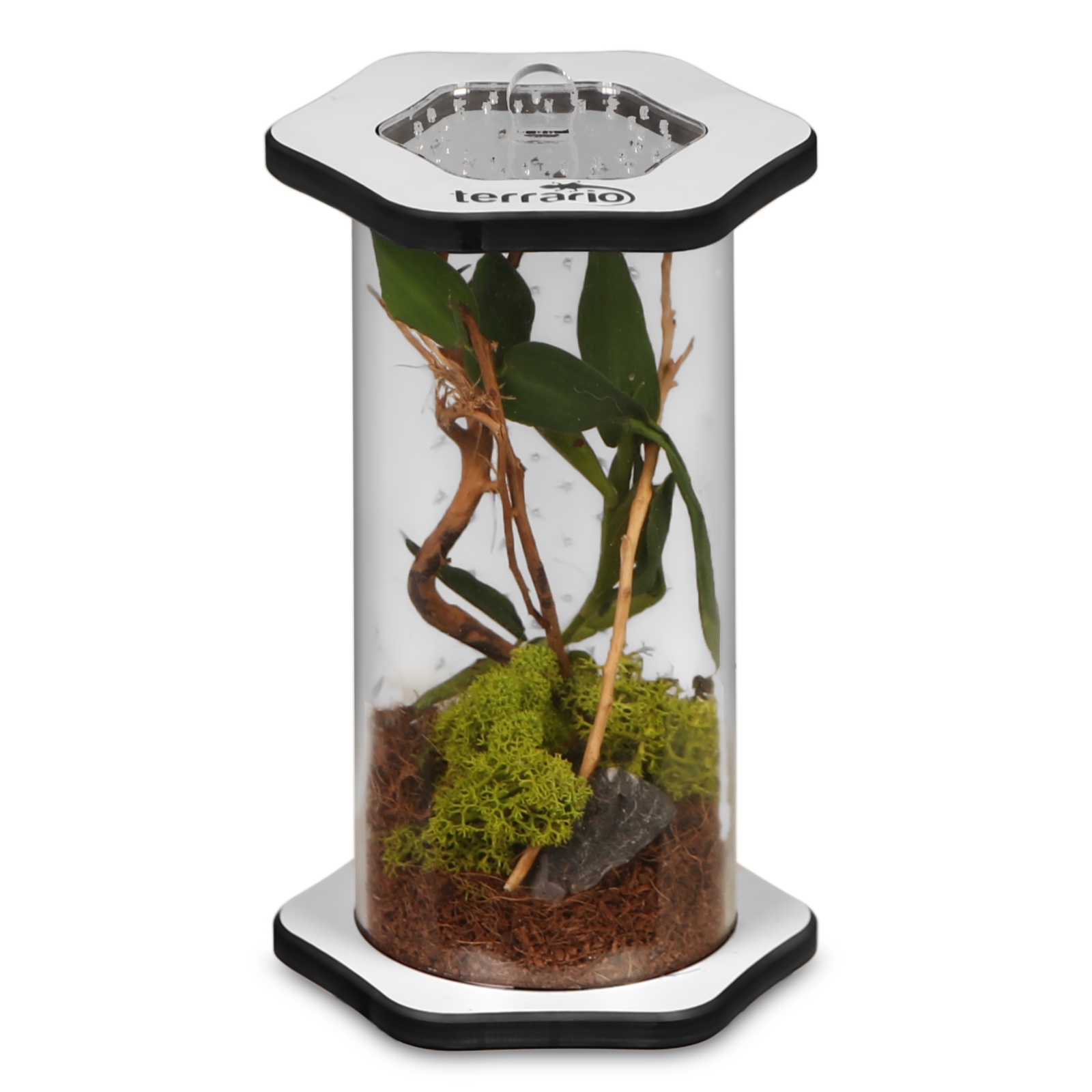 Levně Terrario Spiders Tube Tall150 Akrylové terárium Průhledné 150mm