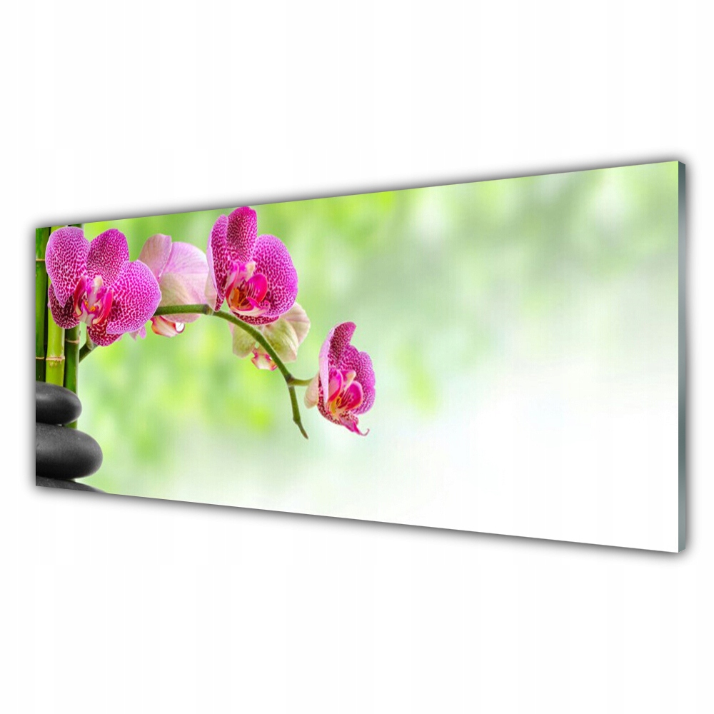 

Fotoobraz akryl wiszący 125x50 Kwiat Natura Bambus