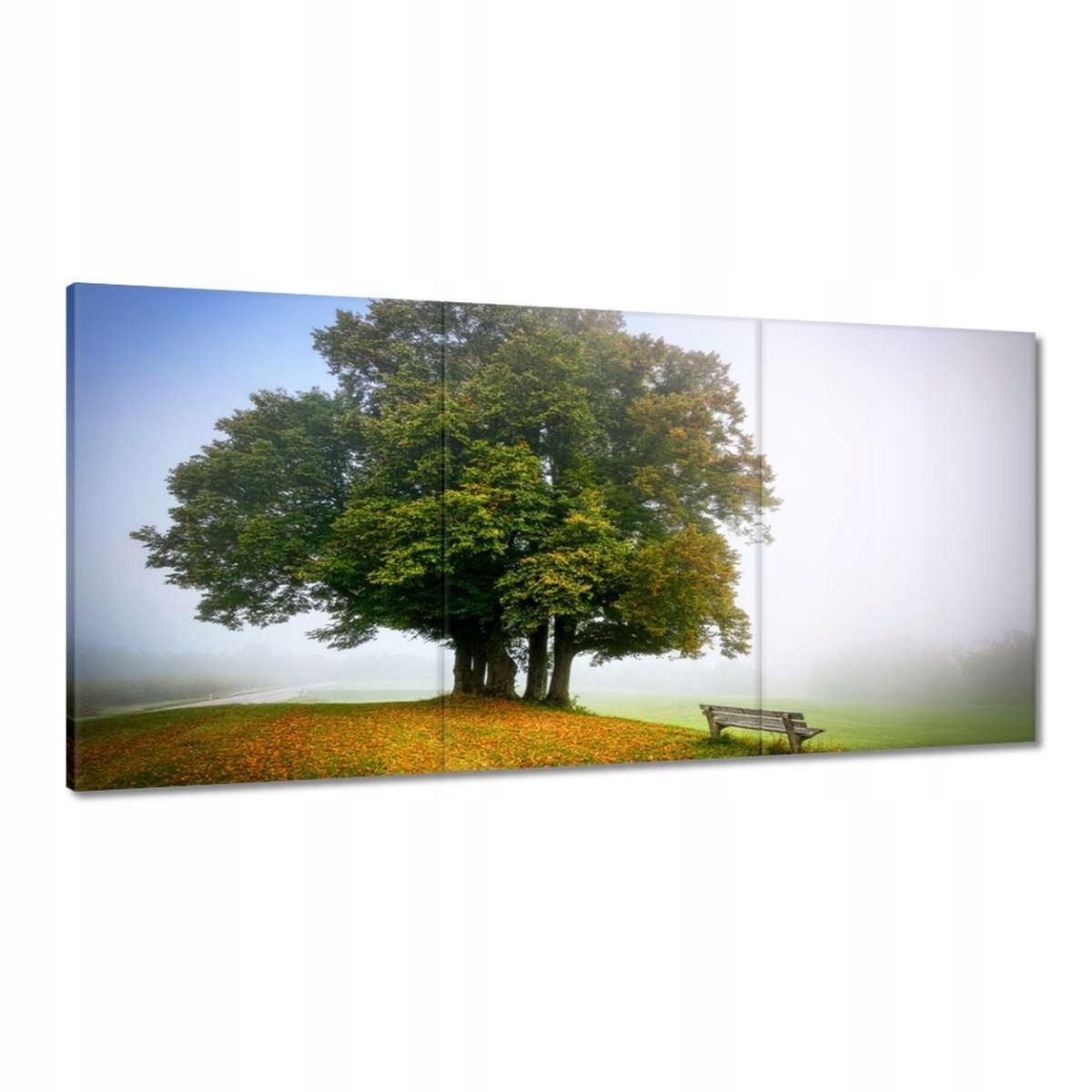 Obrazy 120x60 Krajina s lavičkou Strom