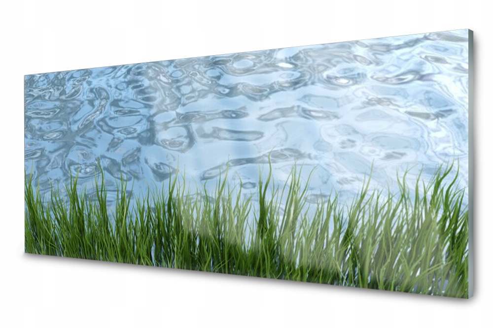 

Panel szklany do kuchni Trawa Woda Przyroda 125x50