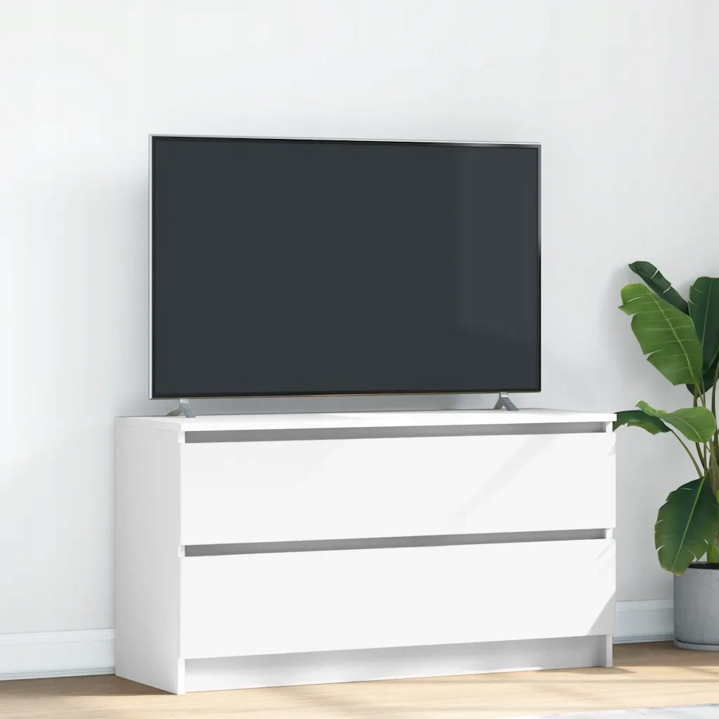 Szafka VidaXL TV Skrinka Biela 100x35x54 cm 8721158707246