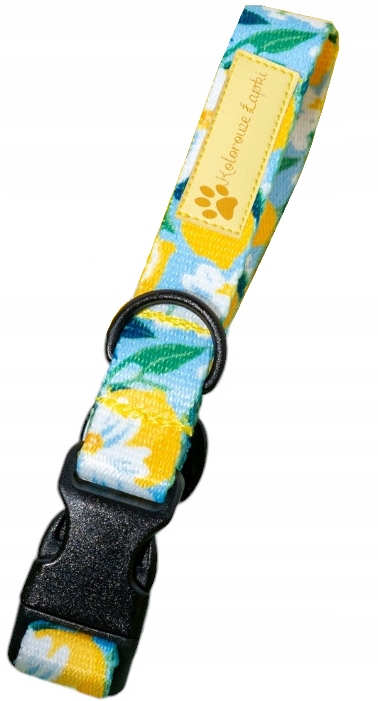 Levně Obojek Pro Psa Kočku Na Citronovou Přezku Černé Kování 3cm L 50-65cm
