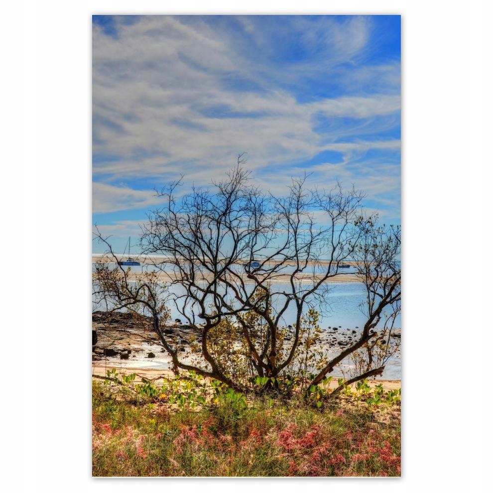 

Plakat 62x93 Widok z plaży