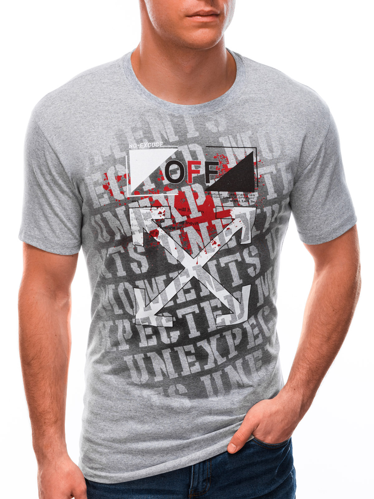 

T-shirt męski z nadrukiem 1602S szary L