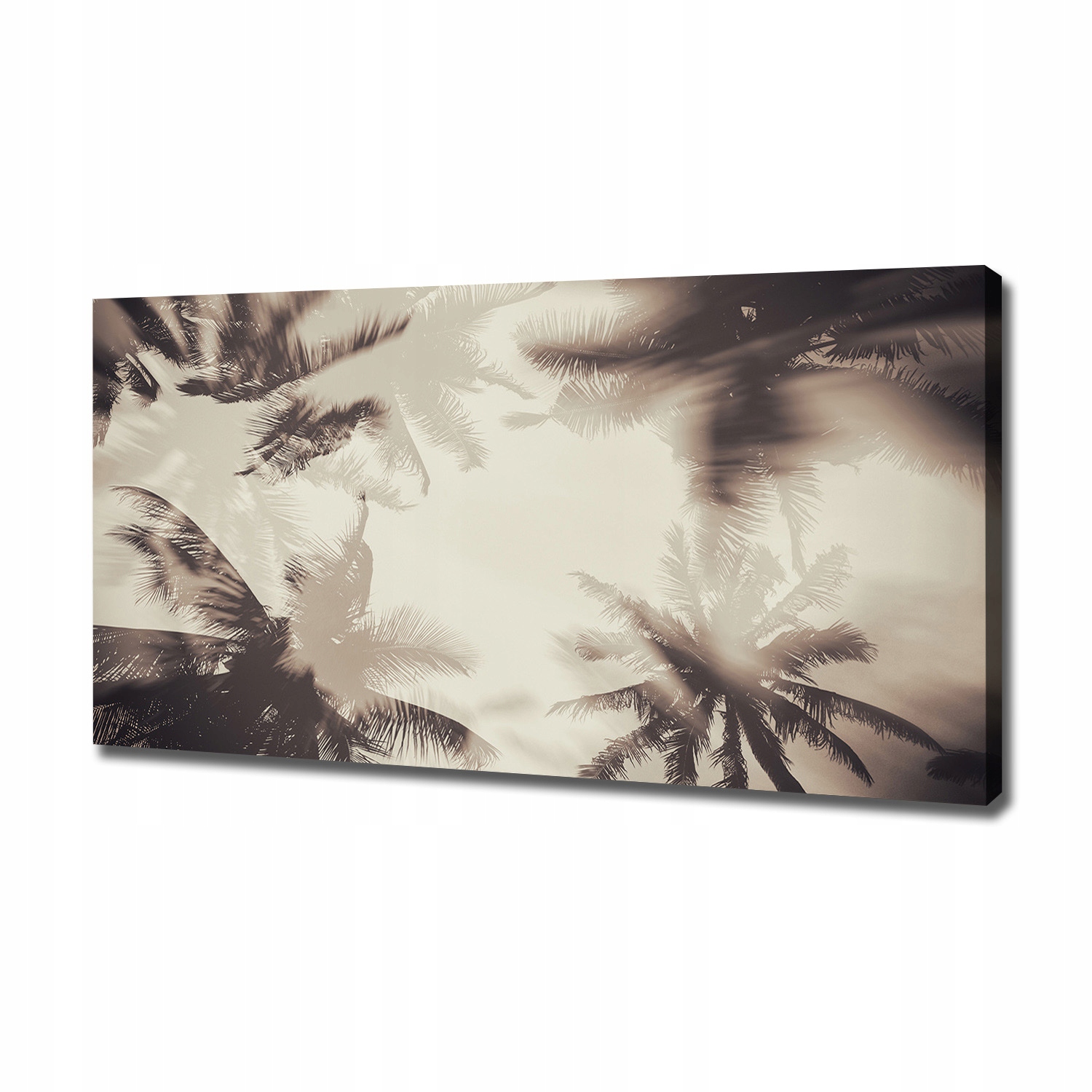 

Foto obraz ze zdjęcia do salonu Palmy 120x60 cm