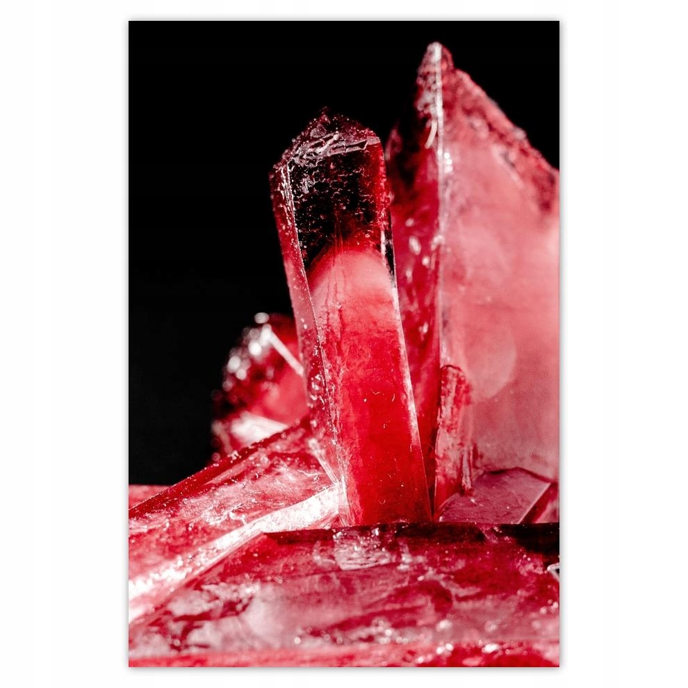 

Plakat Naklejka 40x60 Makrofotografia MacroFoto