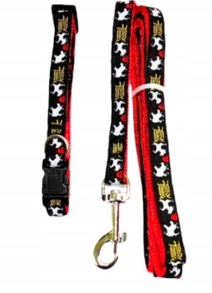 

Komplet obroża 25-30cm i smycz 120cm Tatrapet