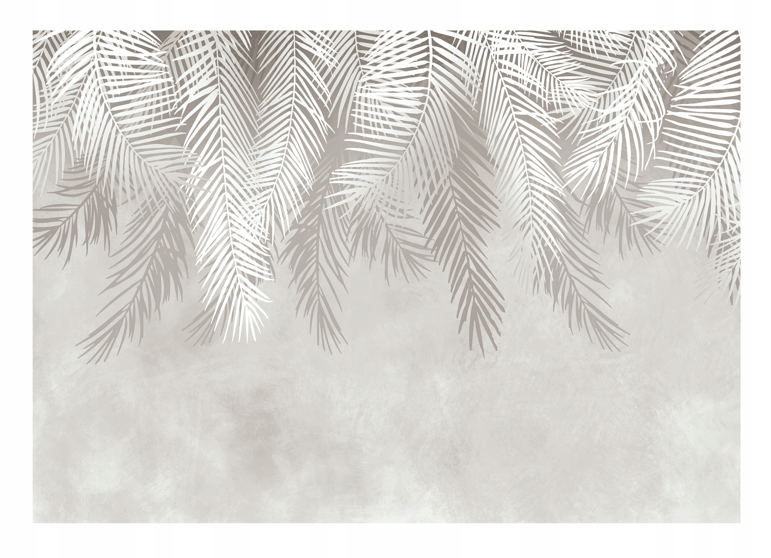 Fototapeta Palmové Listy do obývacího pokoje Peří 254x184