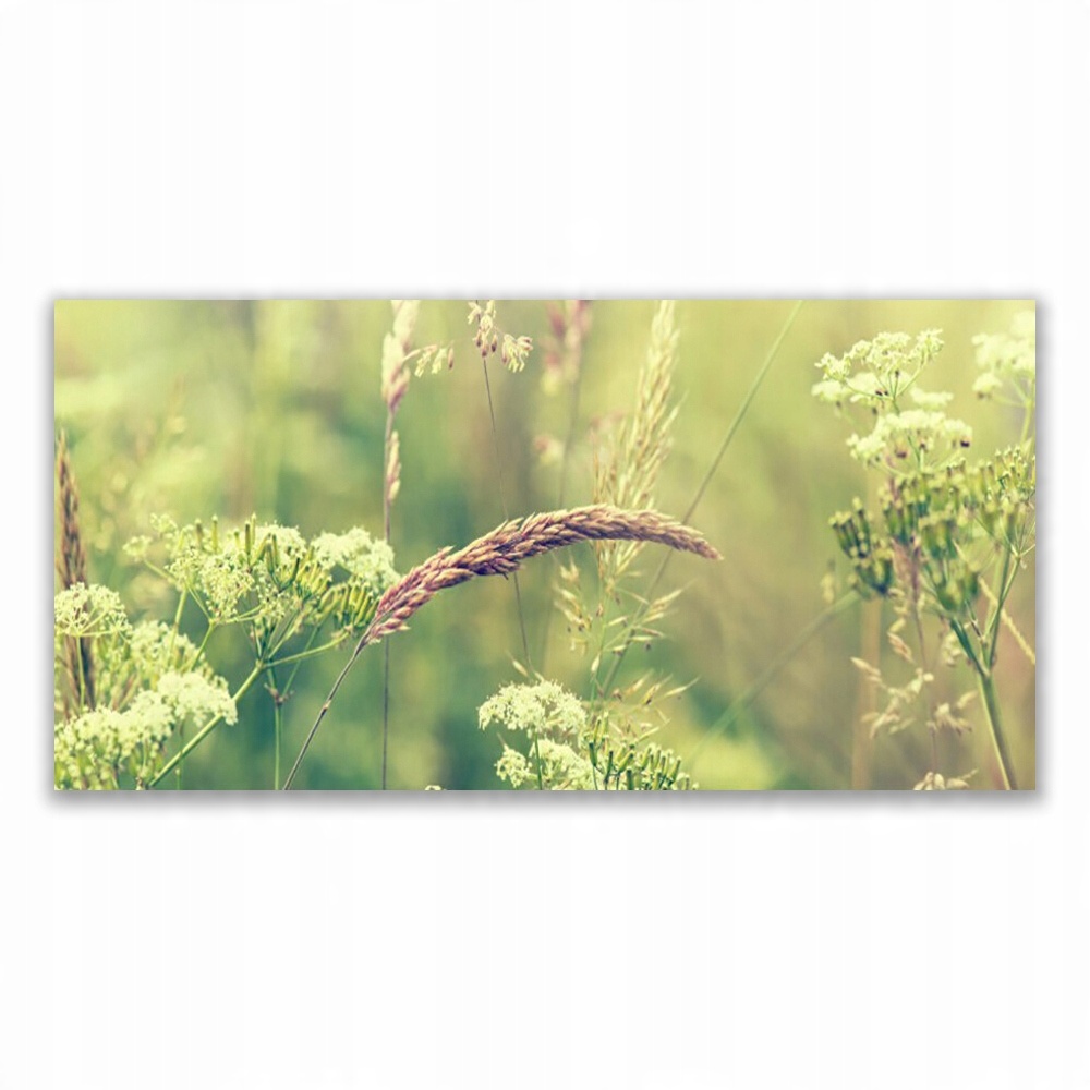 

Fotoobraz z nadrukiem 120x60 Dzikie Rośliny Natura