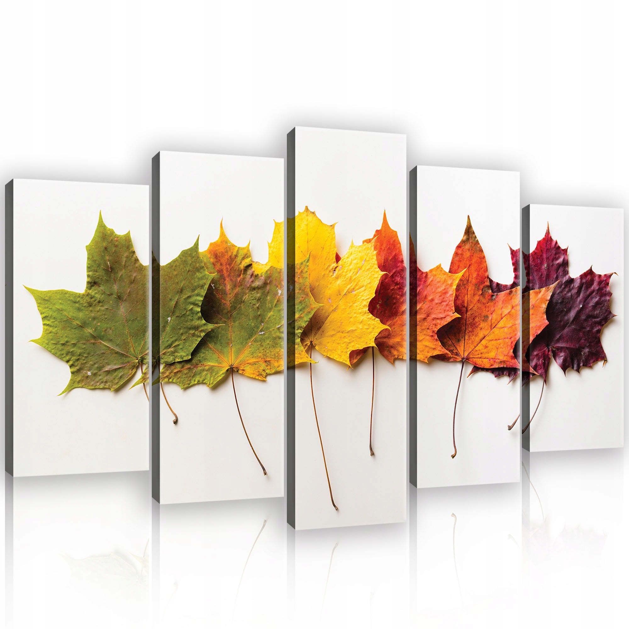 Obraz 100x60 Podzimní javorové listy teplý útulný gradient barvy příroda