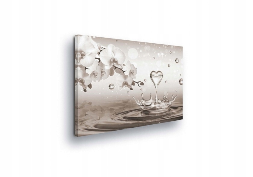 Obraz 100x75 Orchidej kapka vody srdce jemnost příroda klid láska