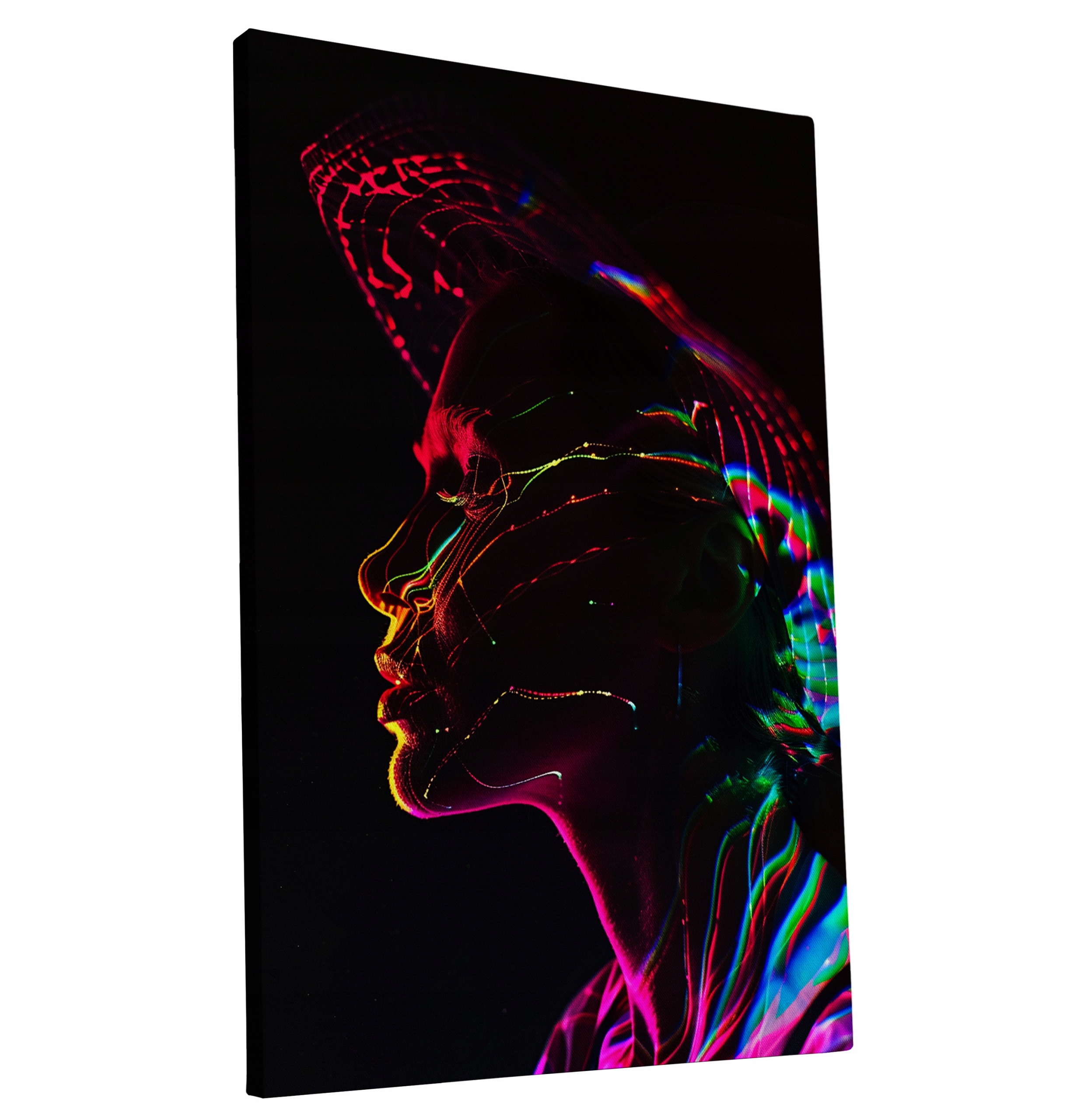 Obraz na plátně Portrét ženy v barvách do domu obývacího pokoje 80x120