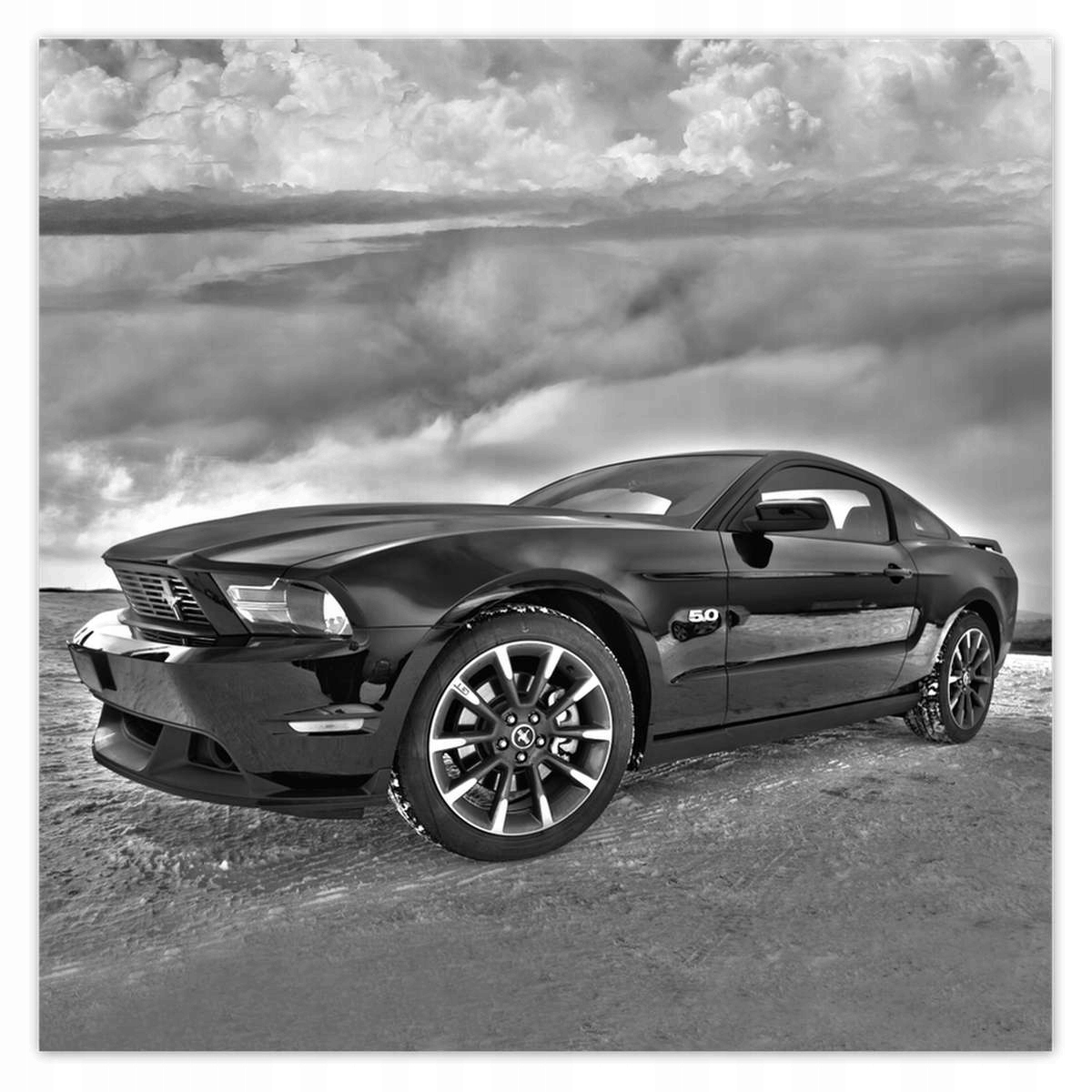 Fototapety 208x208 Ford Mustang na sněhu Auto Klasika Vyrobeno v Usa