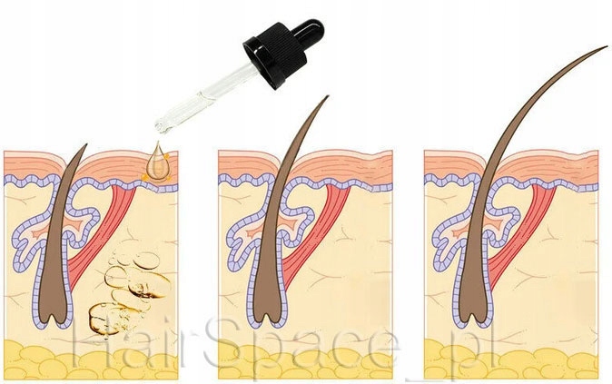 Serum Gęsta Broda Olejek Porost Aktywator Wzrostu Rodzaj serum