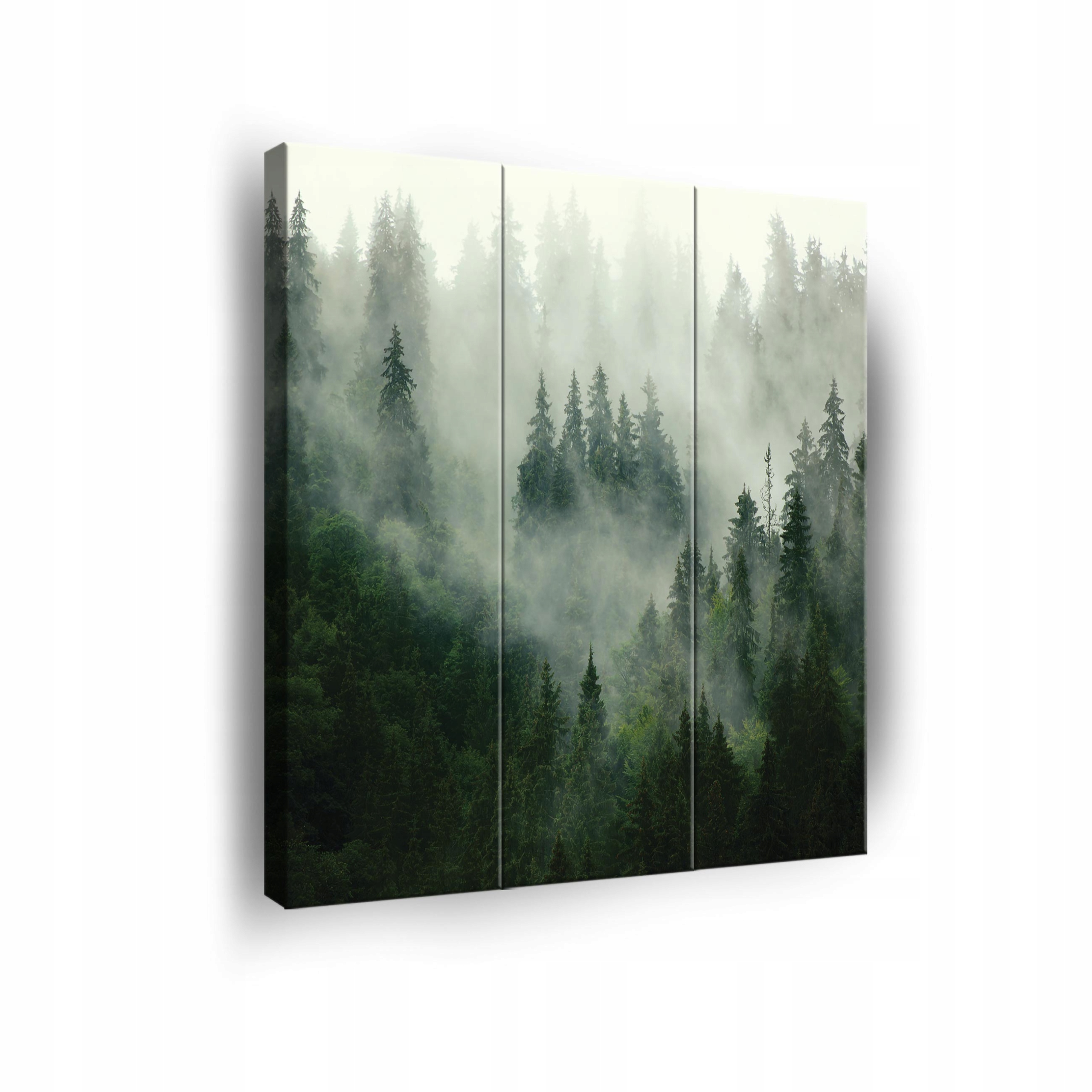 Obraz Les V Mlze Na Plátně Stěna 3 Části Triptych Ložnice Obývací Pokoj 90x100