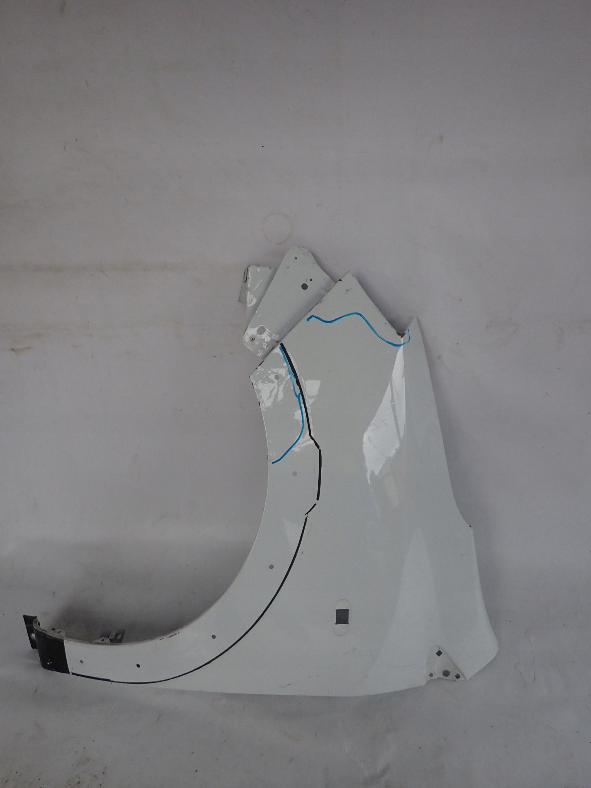 DACIA DOKKER LODGY STEPWAY 12- fender left front front