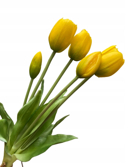 

Tulipan Tulipany Silikonowe Bukiet gumowe