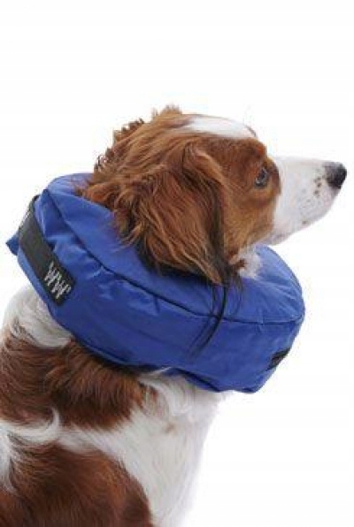 Buster Nafukovací obojek pro psa, nylonový, modrý vel L