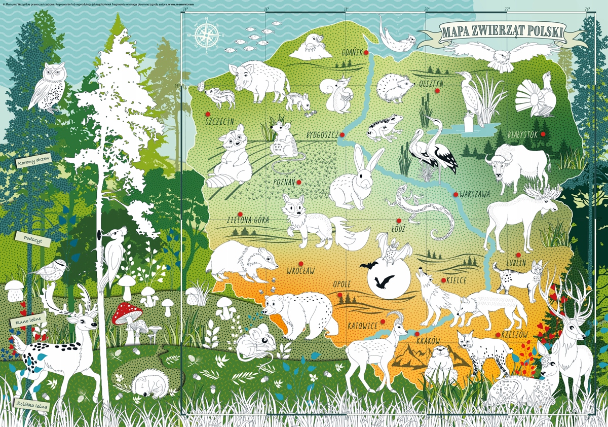 

Monumi edukacyjna kolorowanka mapa zwierząt Polski