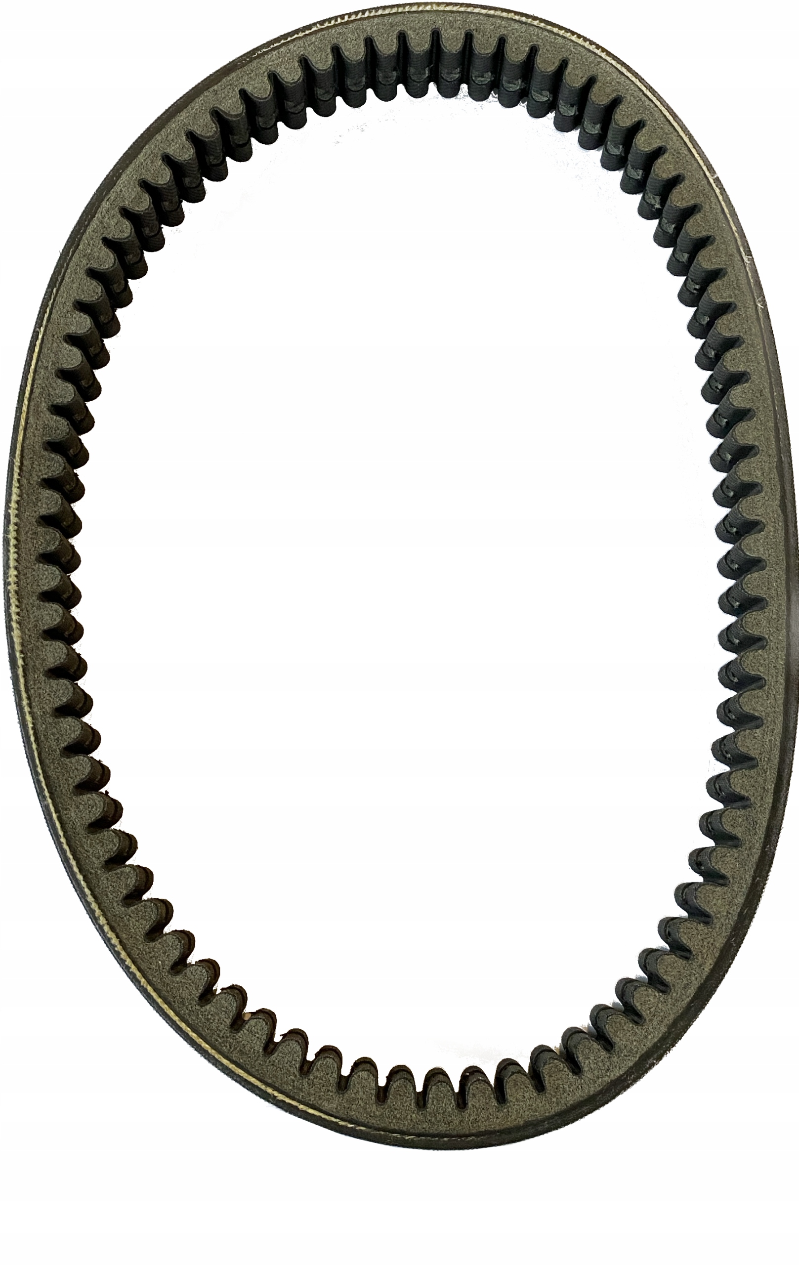 2879 - Ремінь варіатора 420