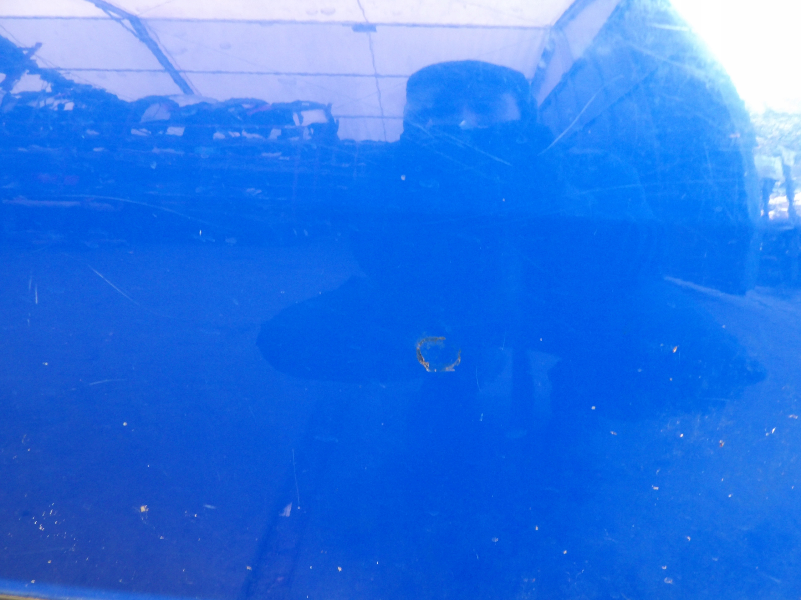 Skoda Fabia and door rear. left HB 5D lak. 4590
