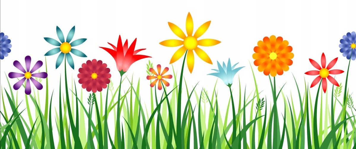 

Tapeta flizelinowa Kwiaty Trawa 250x104