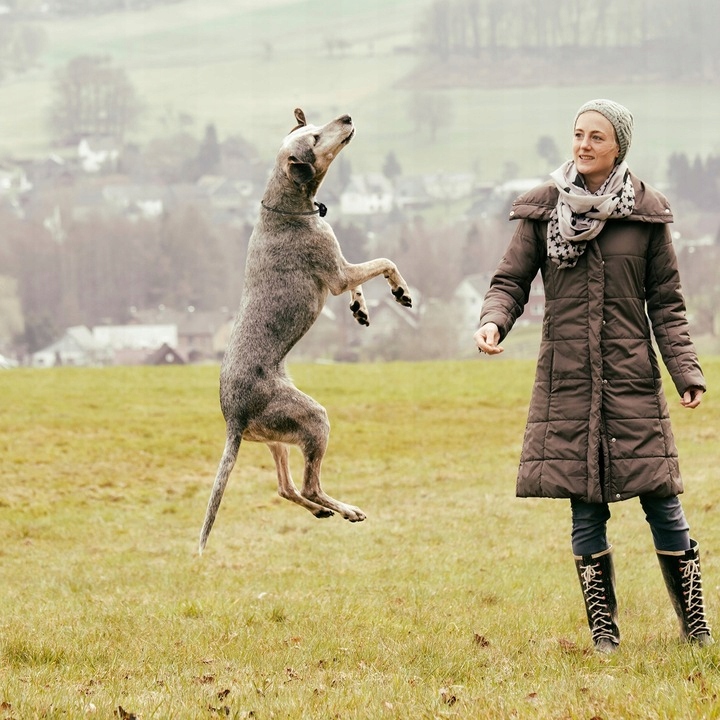 Elektrický výcvikový obojek pro psa Treser 800 m Pilot