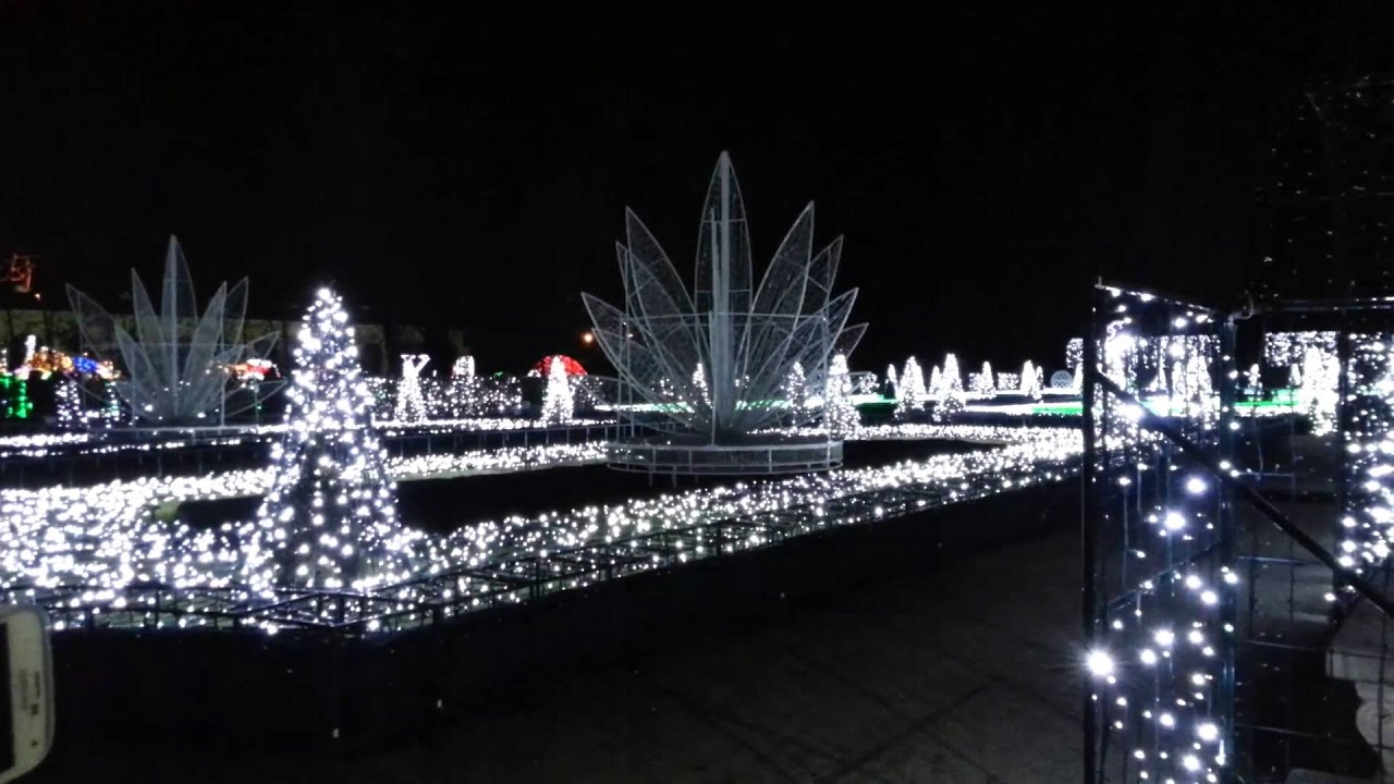 LAMPKI CHOINKOWE ZEWNĘTRZNE BIAŁE ZIMNE 500 LED Kod producenta KL8142